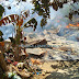 INCENDIO DESTRUYE CUATRO VIVIENDAS EN FRENITO