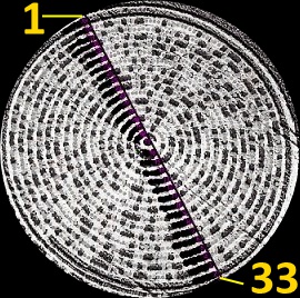 #Misterio en Salta: aparecieron círculos OVNI en campos de trigo#Nuevos Círculos de las Cosechas en 2011 al 2015 - Página 12 Crop+Circle+Winchester+15