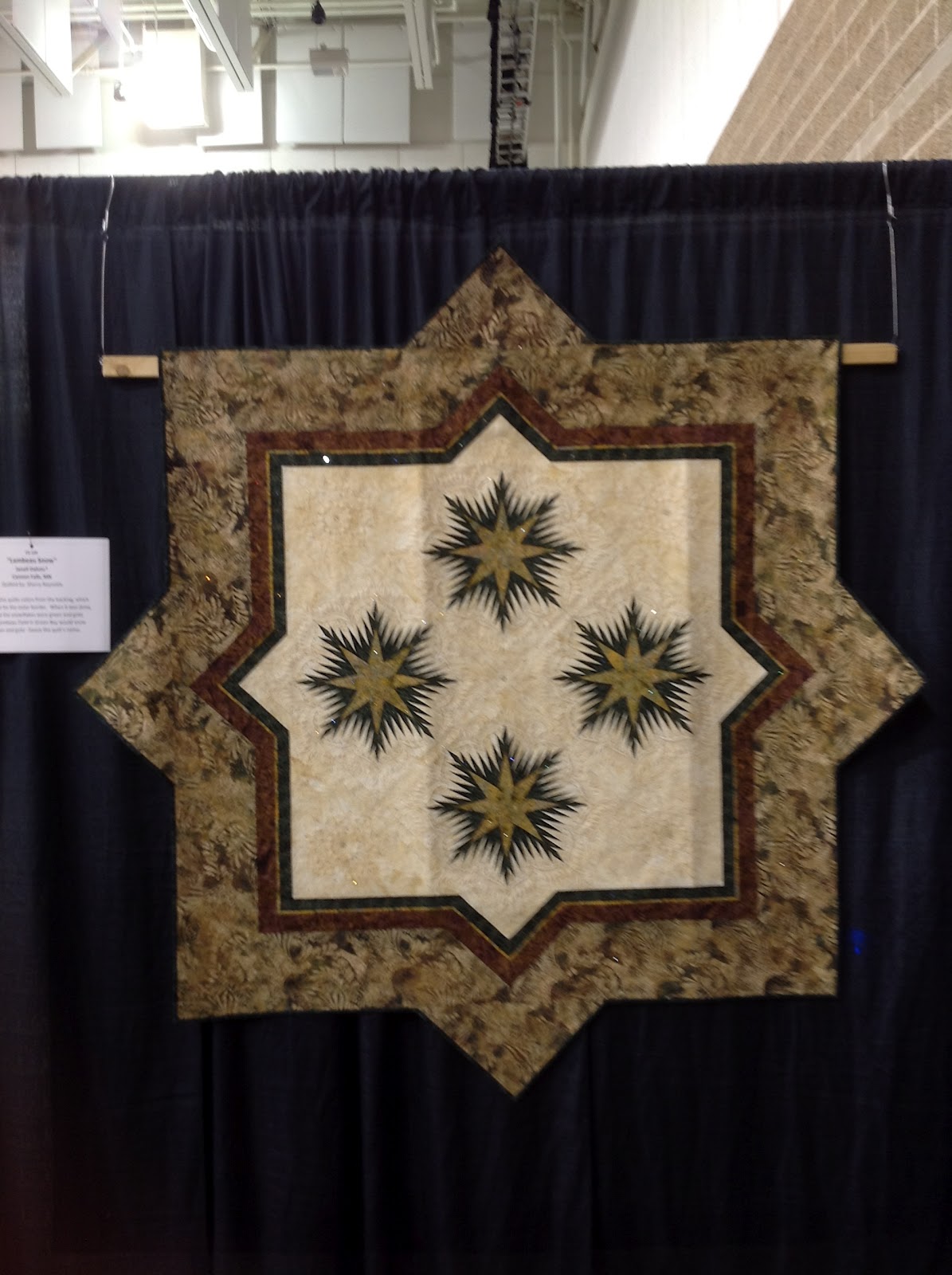Cave Blog Minnesota Quilters show