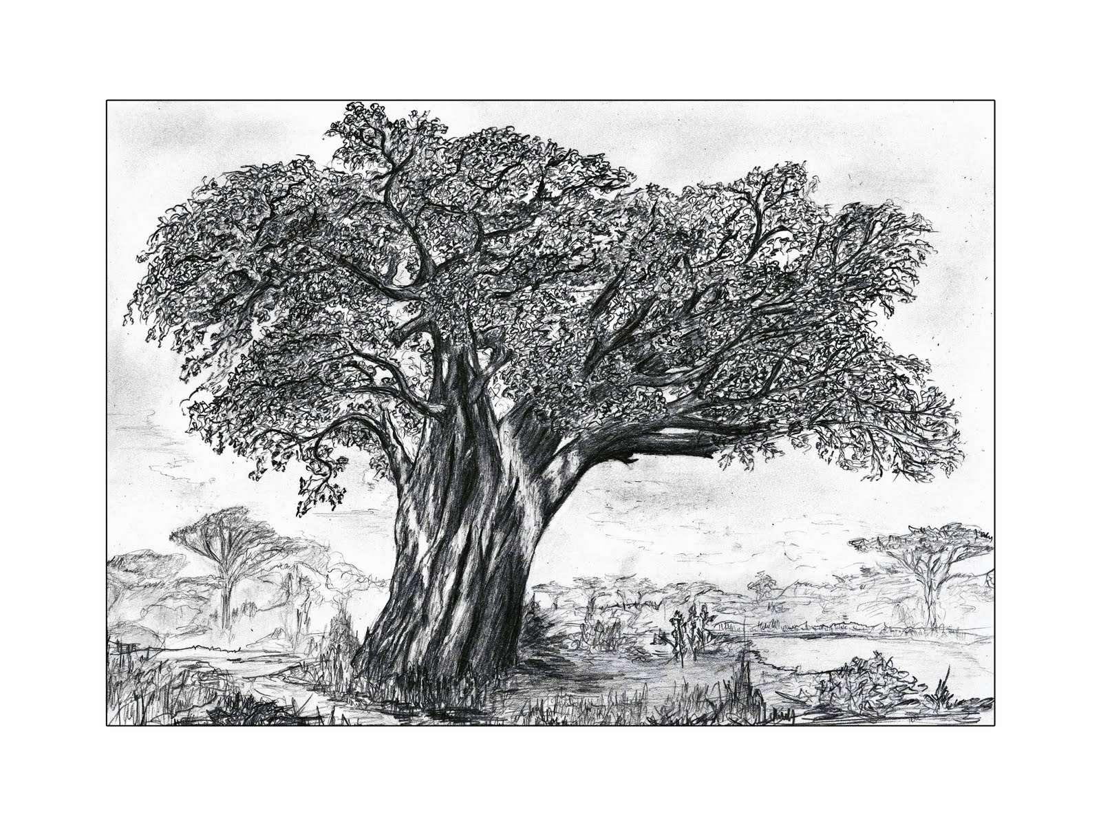 Coloriage D Un Arbre