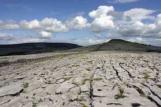 Tanda Wanita Gersang