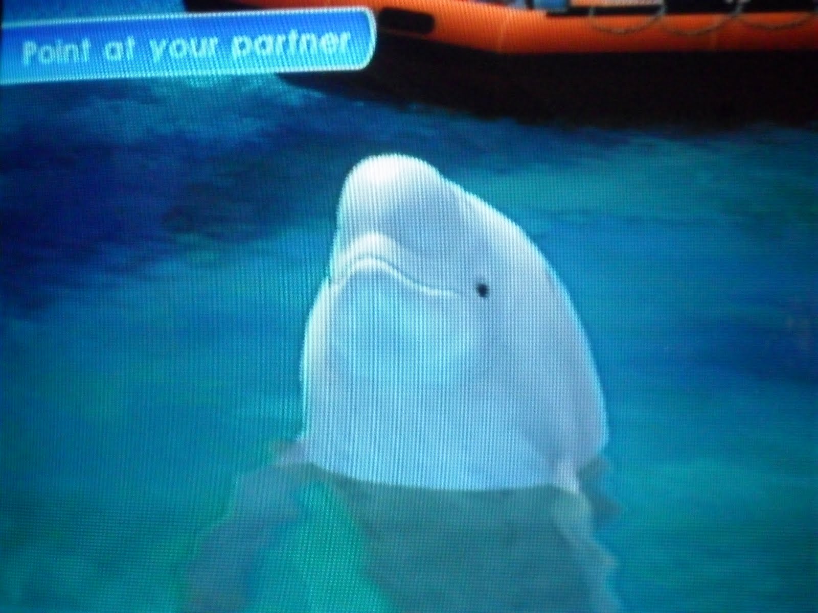 Life...The Way I See It Endless Ocean Blue World Wii