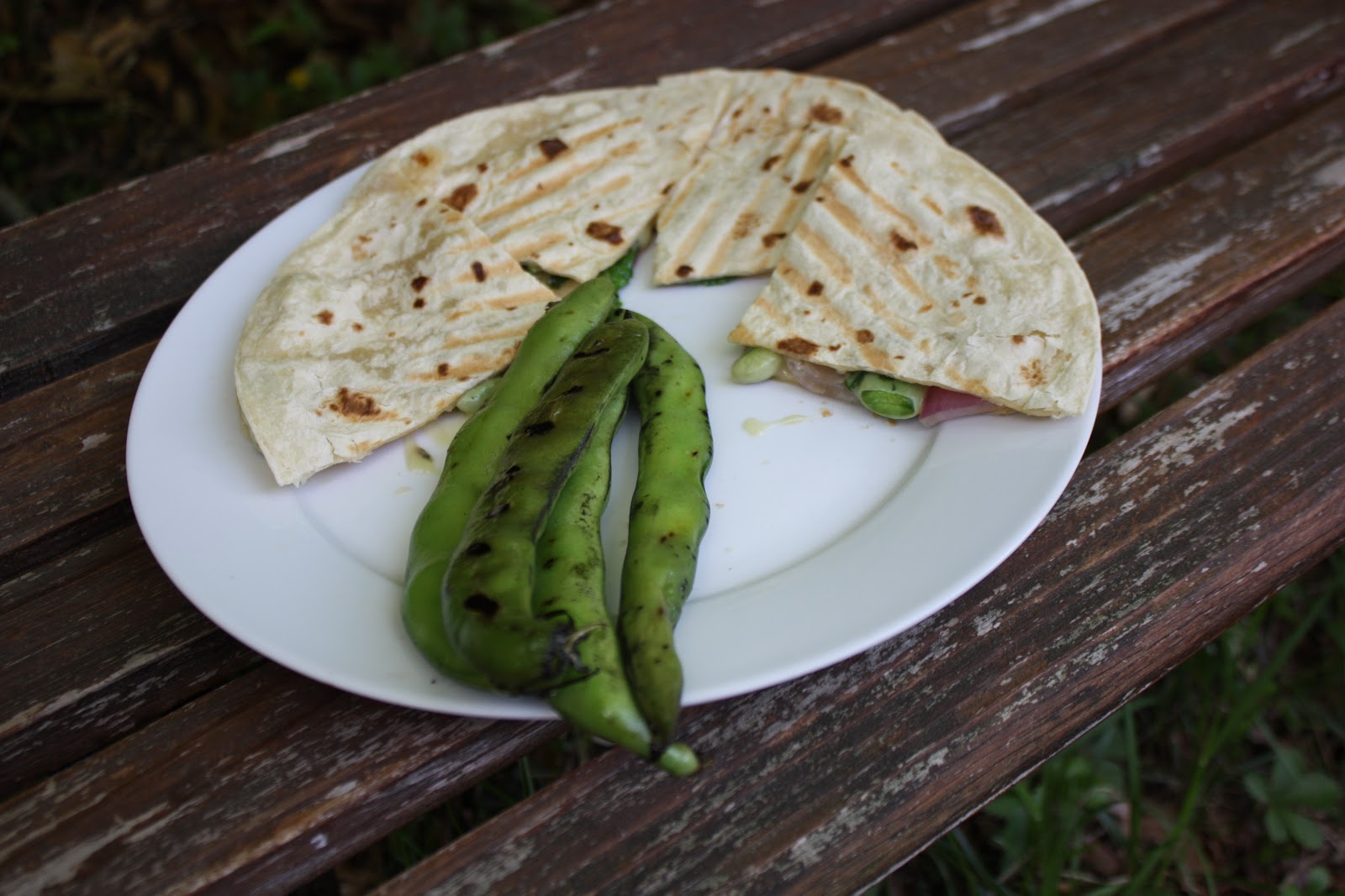 Chow and Chatter Fava Bean Quesadillas