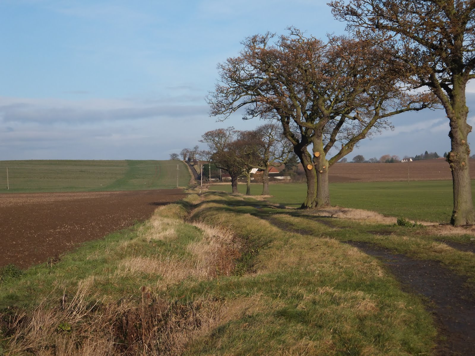 More Ambler than Rambler... The Saffron Trail Parts 3 and 4