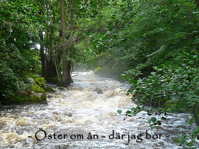 Öster