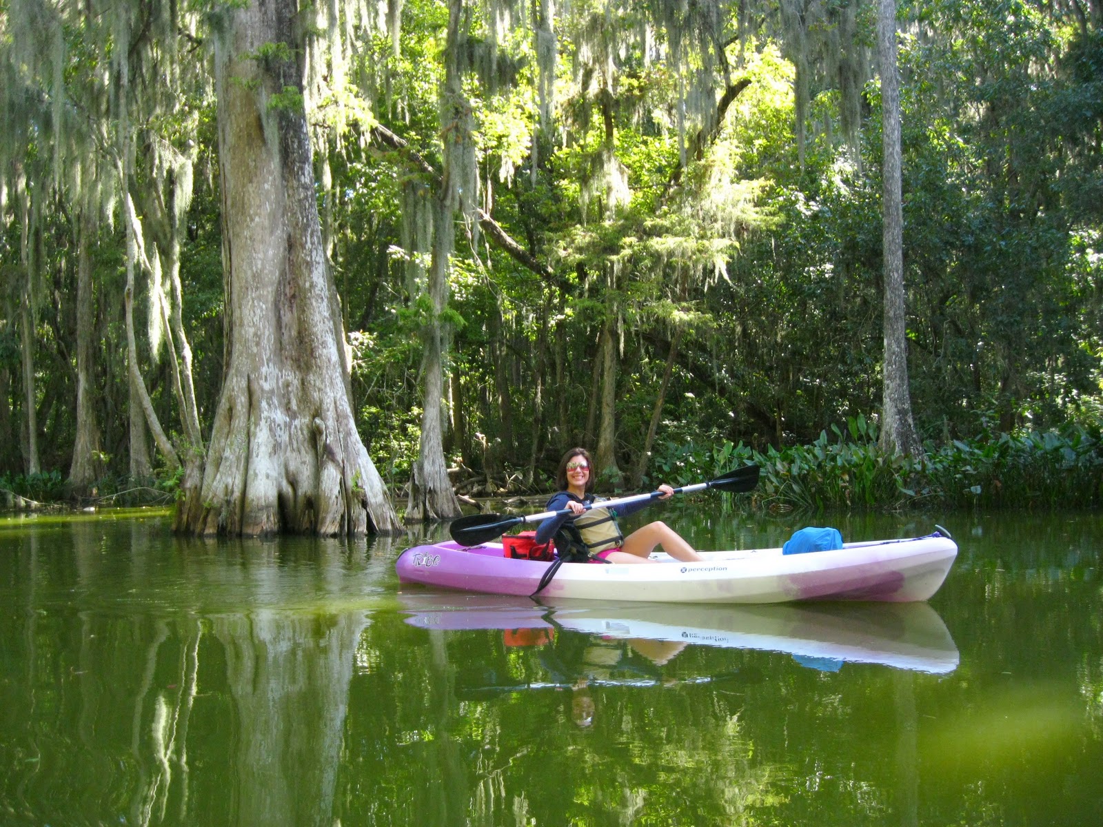 Central Florida Kayak Tours Kayaking a Florida Creek called The Dora