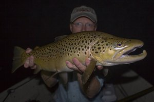 Fish of the Year: 2017