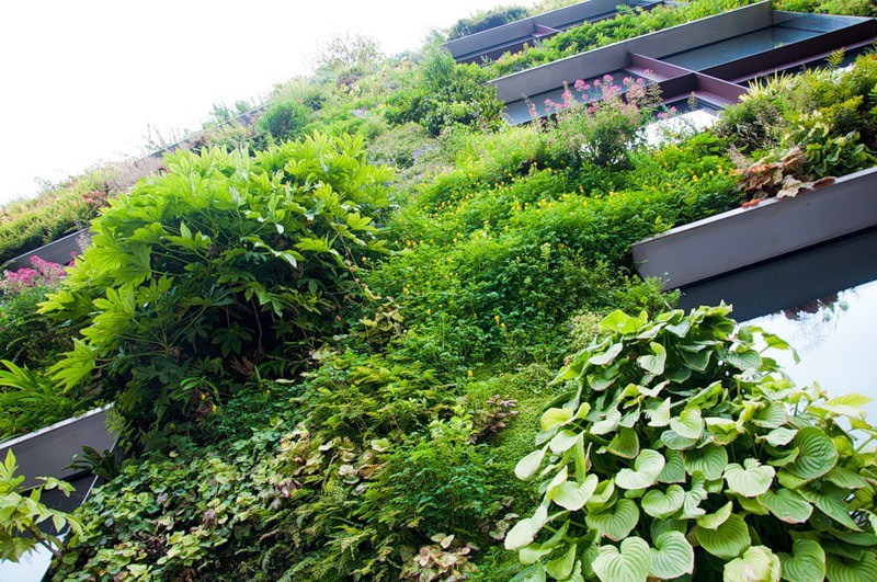 xoxpedia: Amazing Vertical Gardens