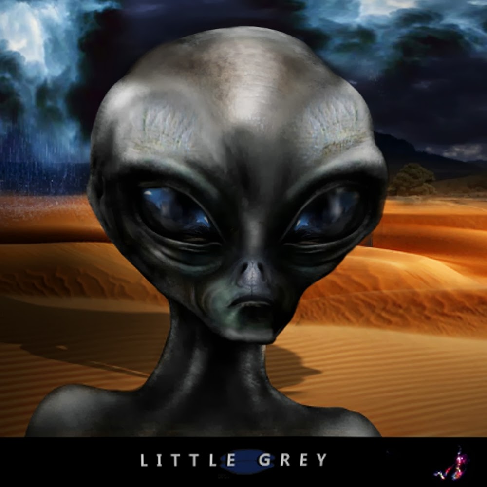 grey-small-alien2.jpg