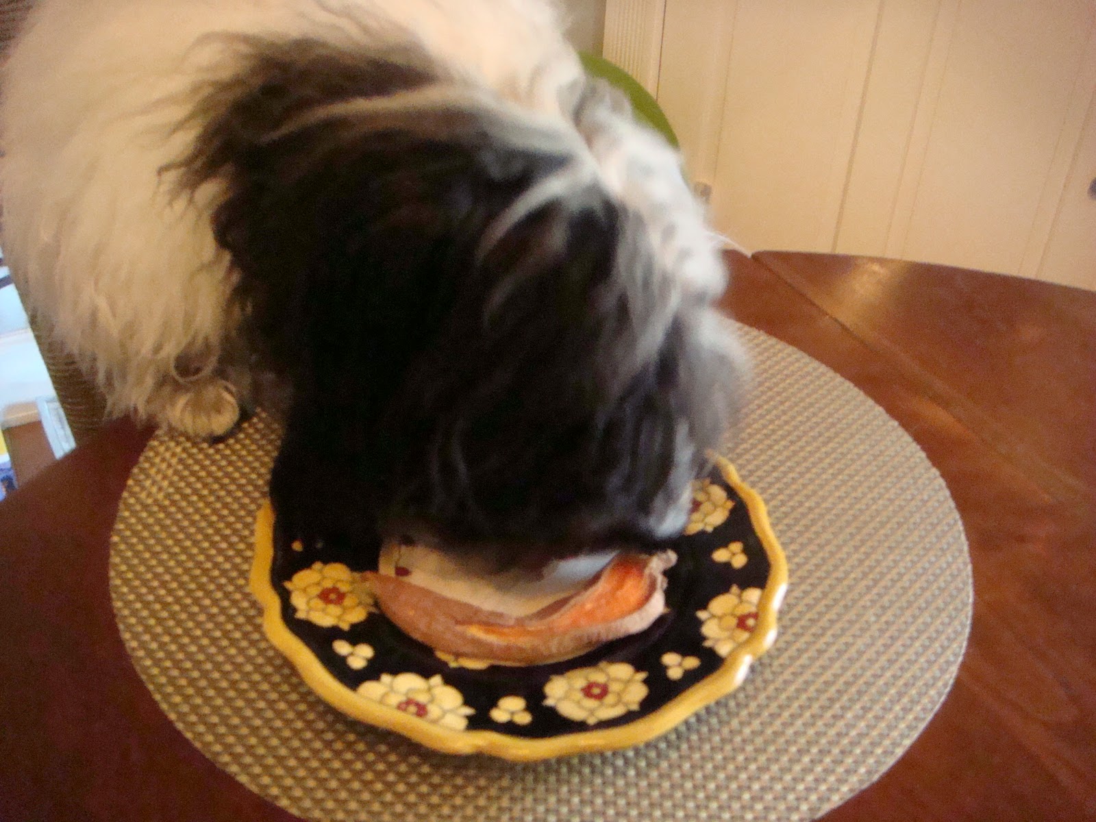 To Dog With Love Dog Joy Treat Review from Freshpet