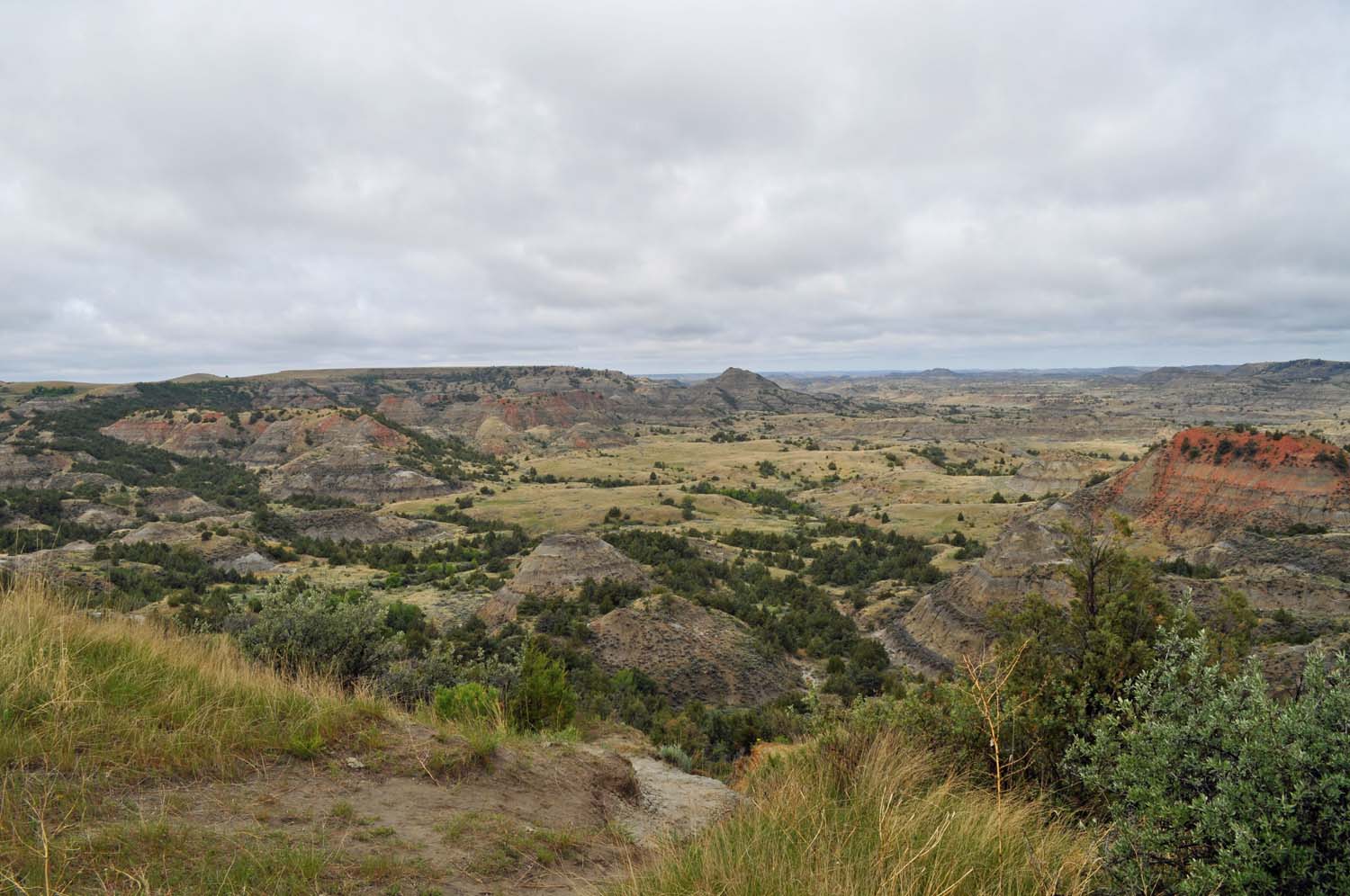 On_a_Lark 30 May 2012, Cottonwood Inn and RV Park, Glasgow, MT