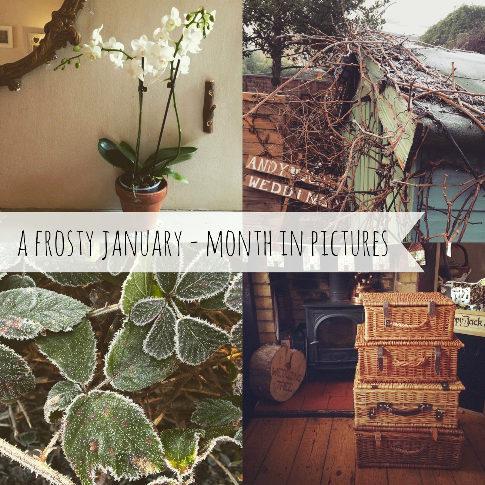 A frosty January + my month in pictures