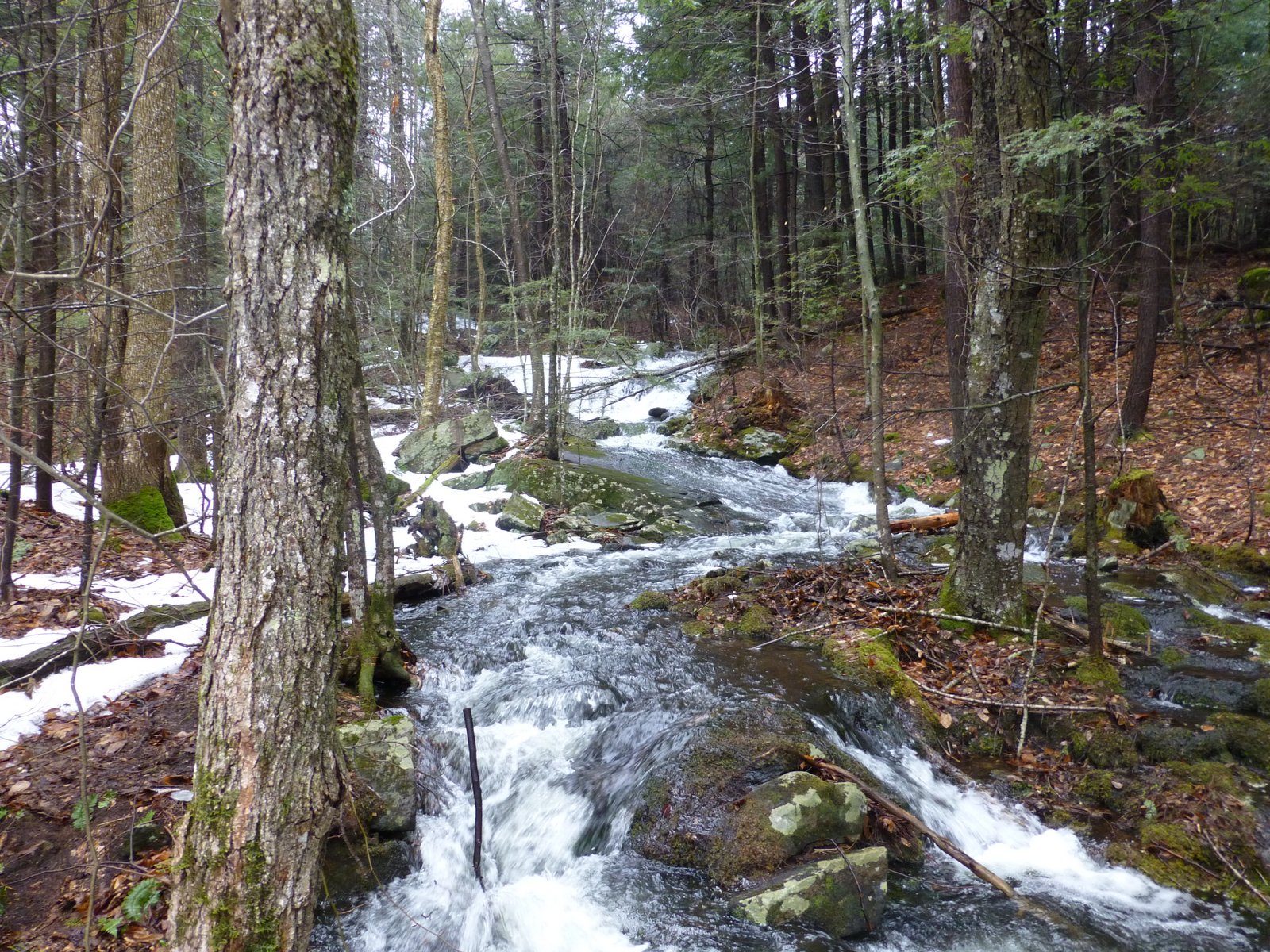 Off on Adventure Pole Hill Pond Lake Wild Forest 3/13/13