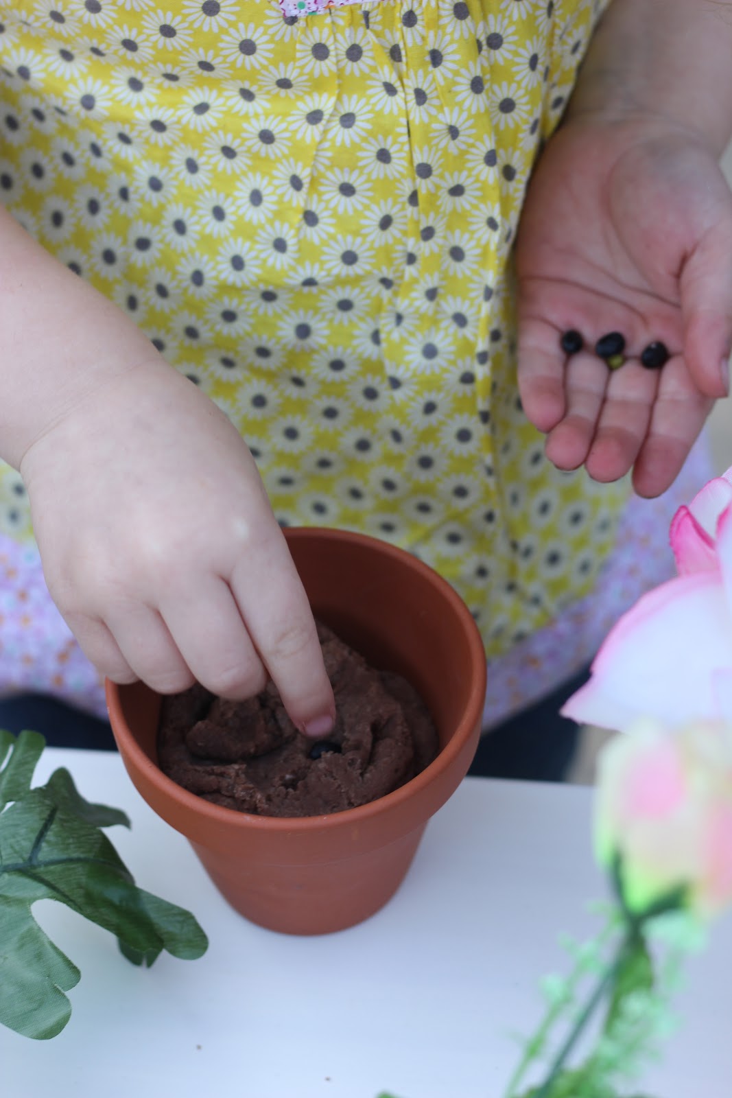 West Hill Blog No 90 Plant Of The Week Salvia Phyllis Fancy