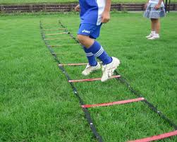 20130718-ladder.jpg