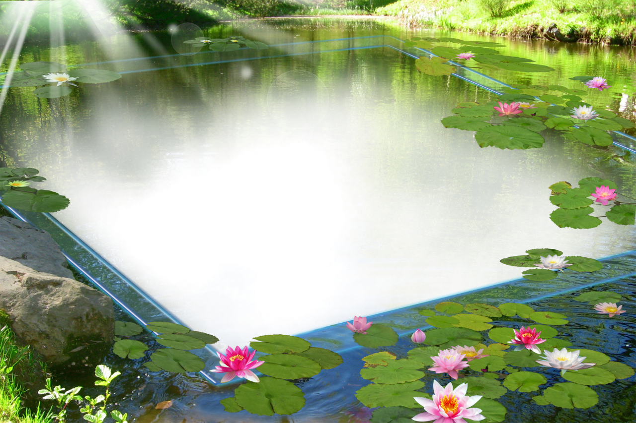 WALPEPAR Beautiful 20+ PNG Frame's