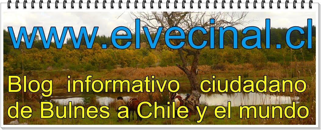 elvecinal.cl