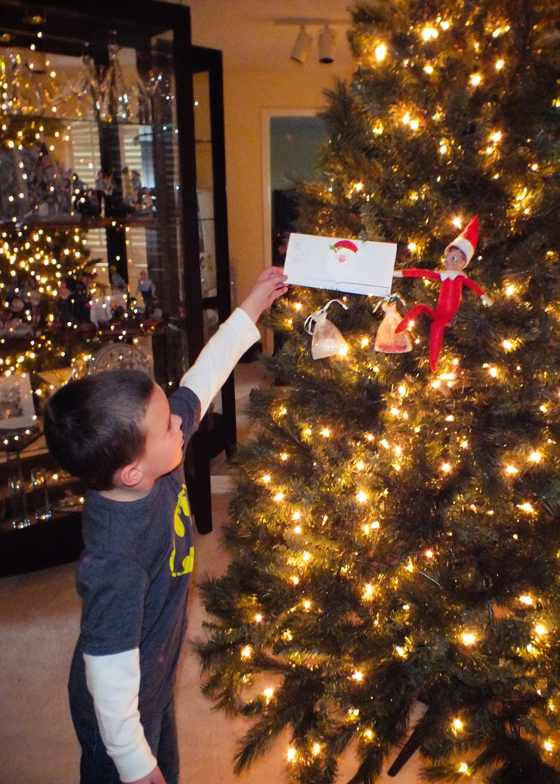 Mr. Jingles' Adventures Magic Elf Seeds