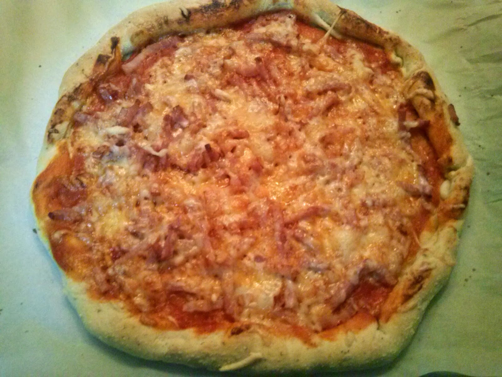 LOS FOGONES DE JUANI PIZZA DOMINOS THERMOMIX