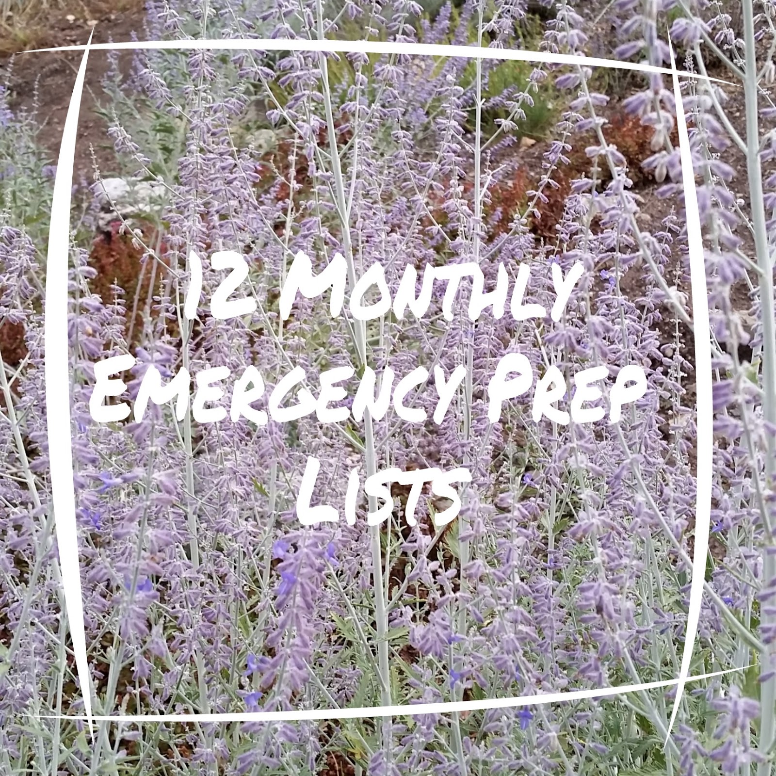 prepared lds family 12 monthly emergency prep lists lds food order form