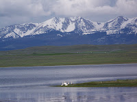 Bridger Mountains