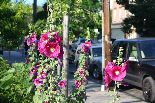 66 Square Feet (Plus): June 2012