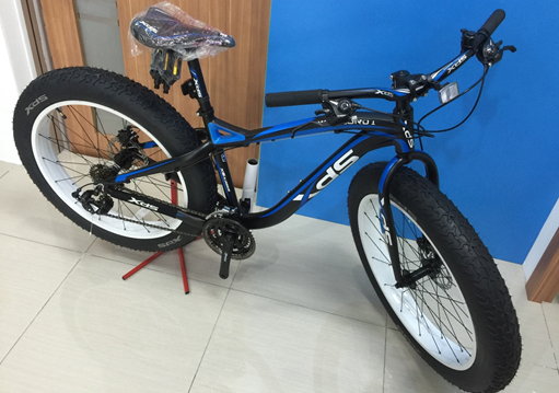 xds fat bike