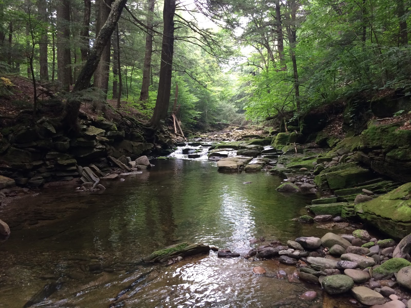 Catskills East Branch Neversink River NJ/NY Hikes