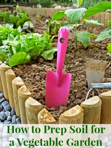 Gardening tips and ideas | Stunning Things