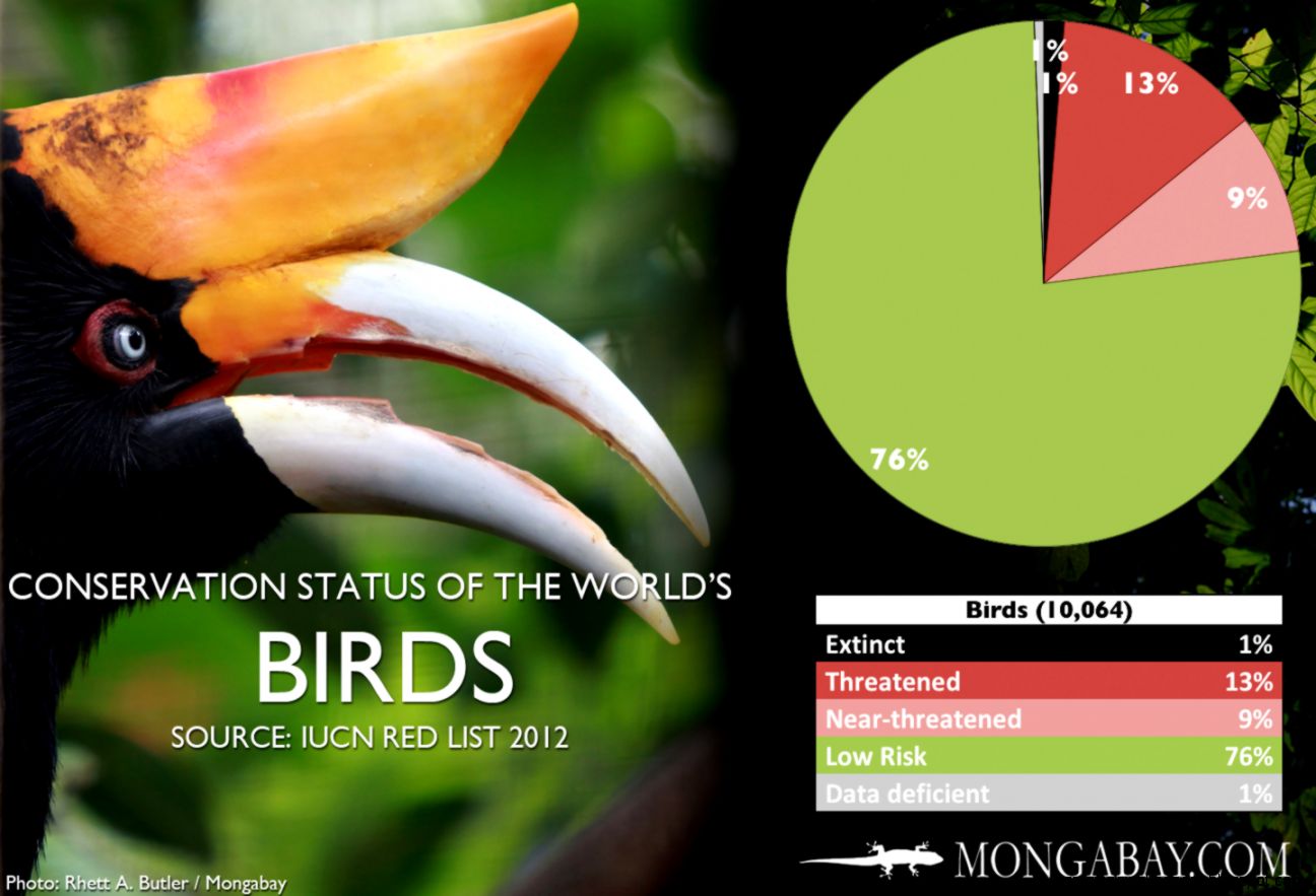 CHART The world39s most endangered birds CHART The world39s most endangered birds
