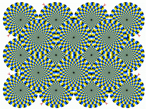 Optical Illusion of the Week