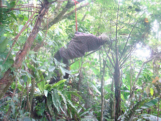 SAPUJAGAT: Teknik Tidur Kalong