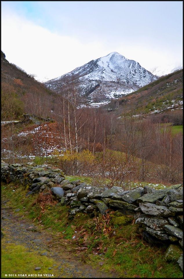 XOAN ARCO DA VELLA A SEARA O COUREL QUIROGA