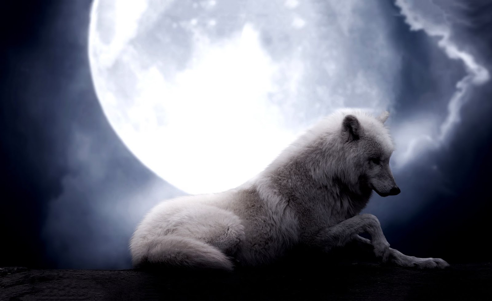 White Wolf Full Moon White Wolf Full Moon