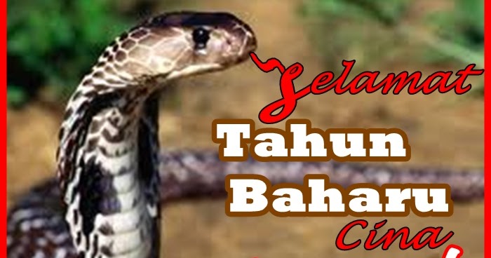 EH - Ekslamasi Holistik: Selamat Tahun Baharu Cina 2013!