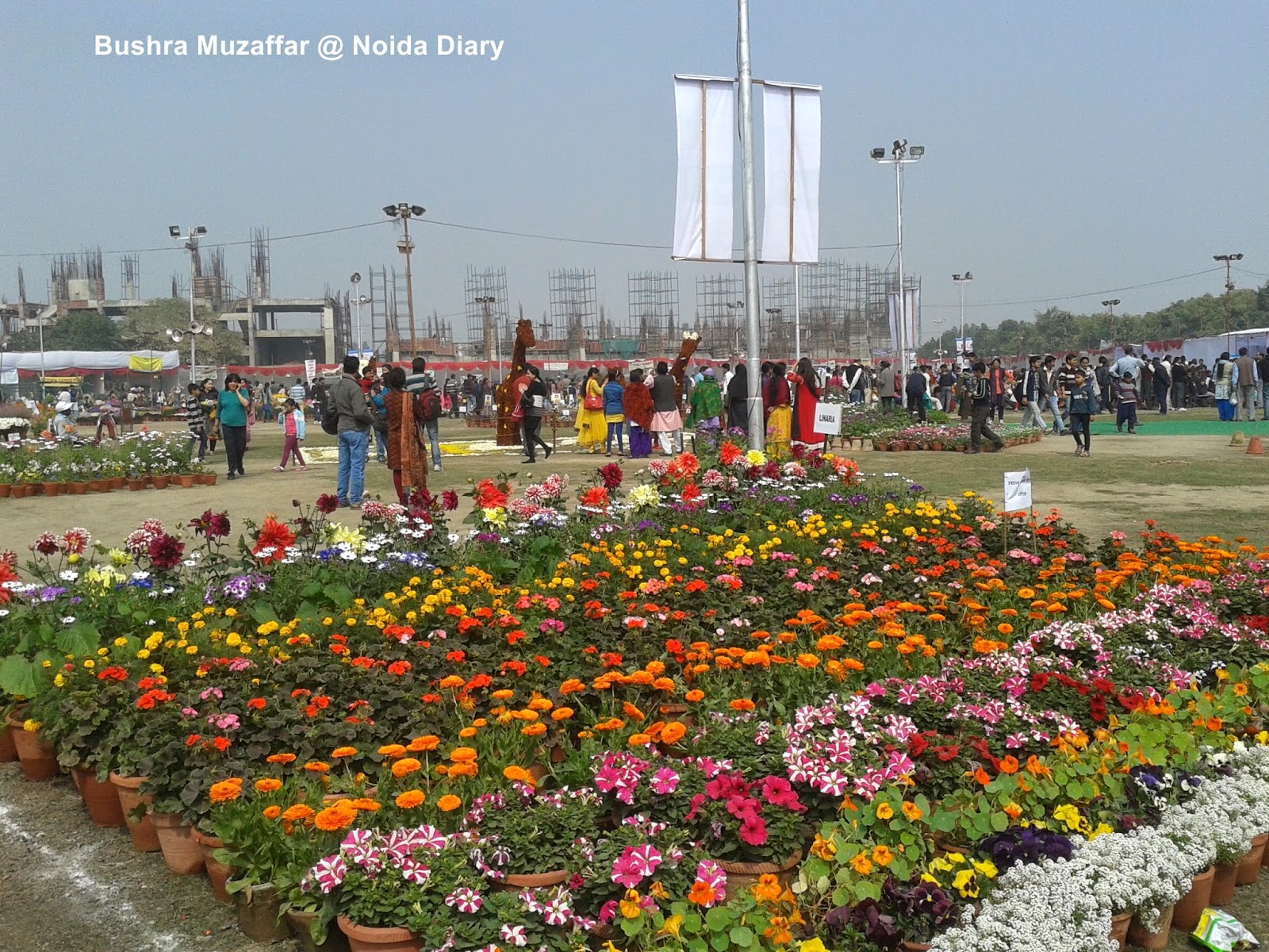 Noida Flower Show 2014
