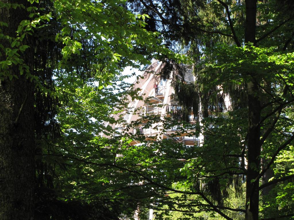 Neuschönau The Longest Tree Top Walk in the World Kuriositas