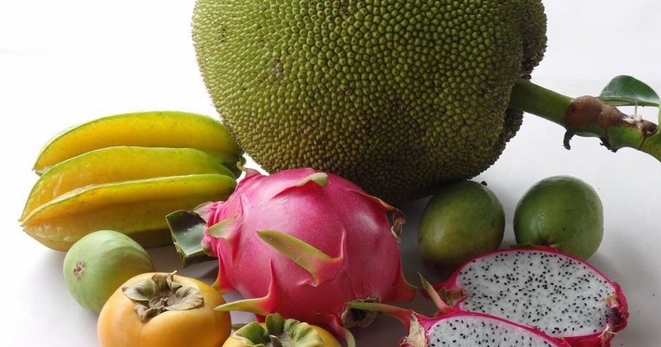 Daleys Fruit Tree Blog Tropical Fruit Tree Harvest