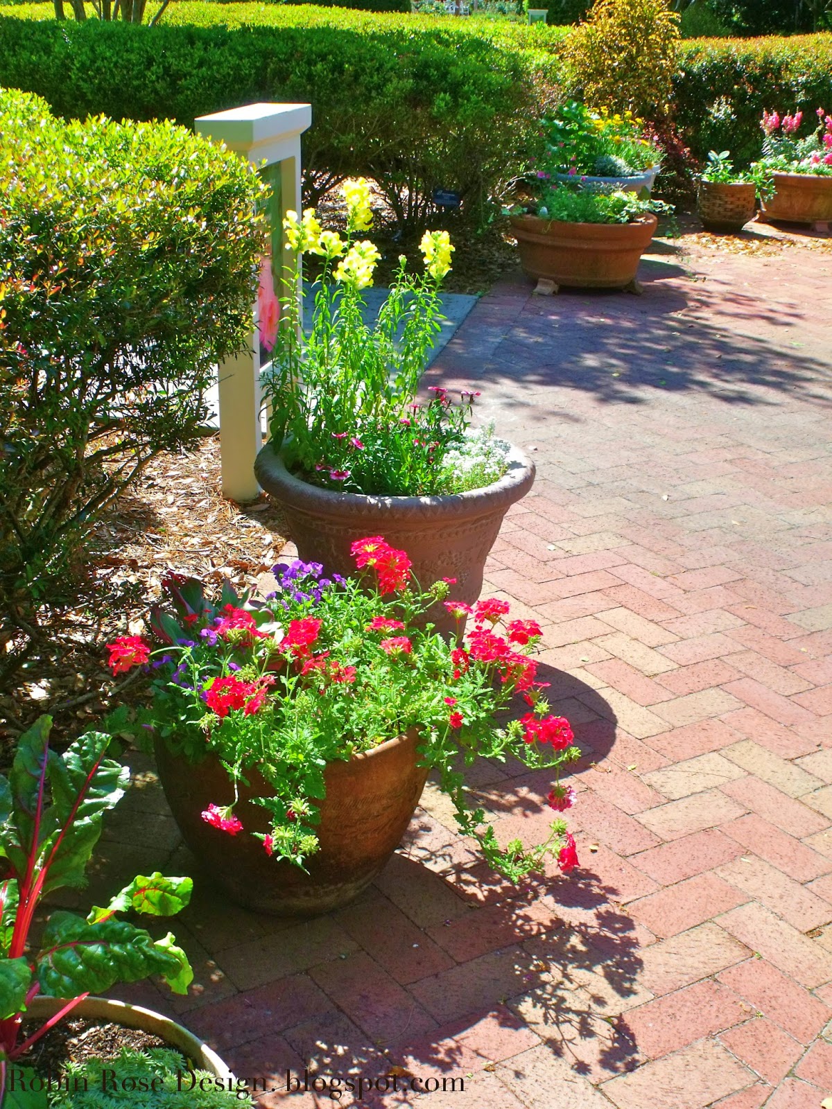 ROBIN + ROSE Florida Day Trips Leu Gardens