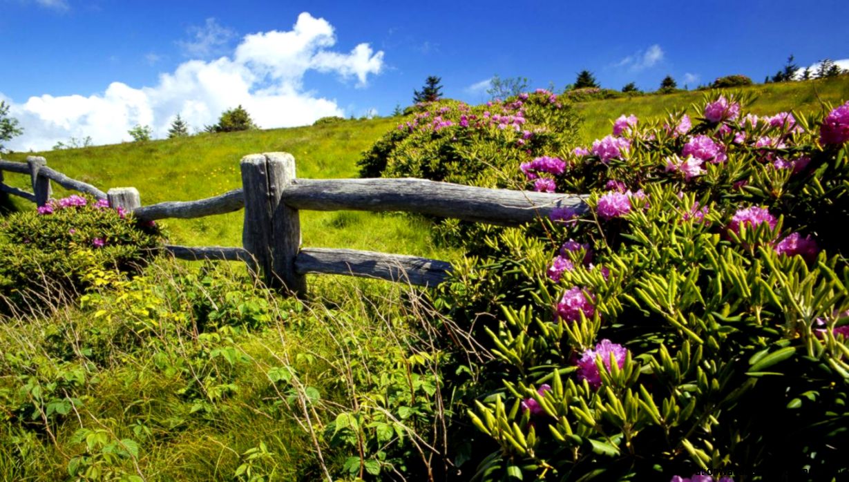 Beautiful Spring Landscape HD Desktop Background Wallpapers Beautiful Spring Landscape HD Desktop Background Wallpapers
