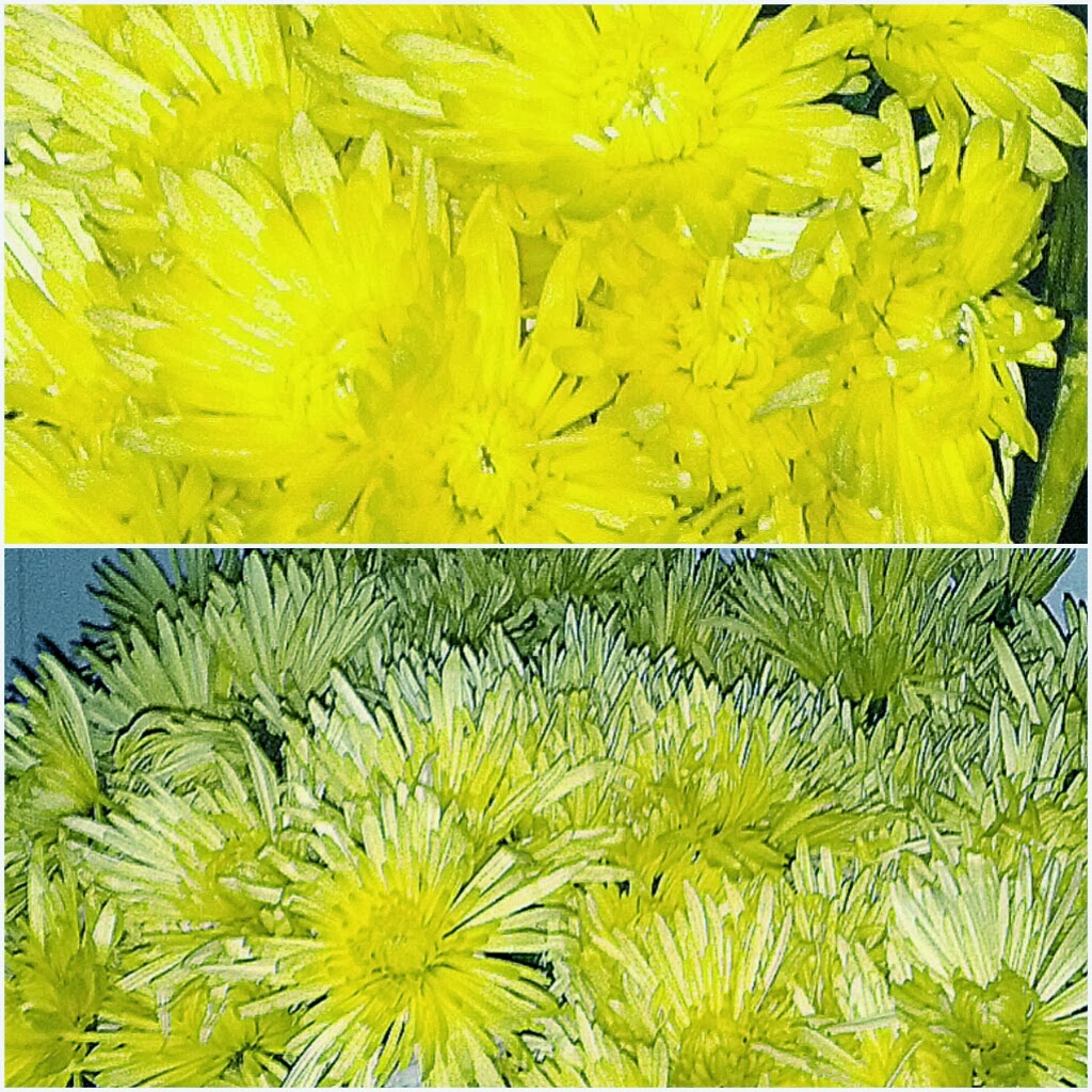 FLOWERING IN GHANA. NAMES OF SOME FLOWERS AND THEIR MEANING.