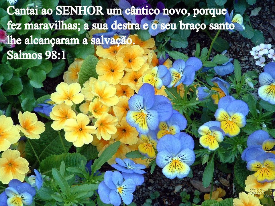 http://3.bp.blogspot.com/-IlKU_YEX6AM/UoNJ44MT1nI/AAAAAAAAVMk/UNlQP2wxAiE/s1600/1313.jpg