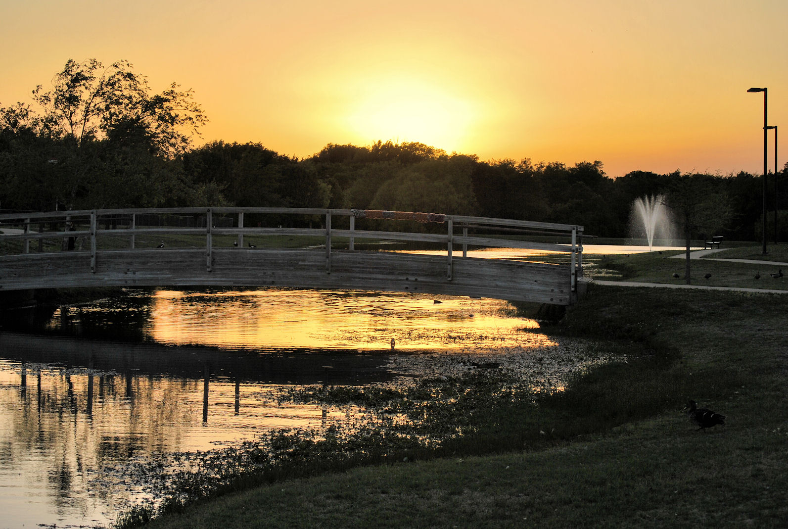 Terrell Daily Photo Skywatch FridaySunset at Ben Gill Park