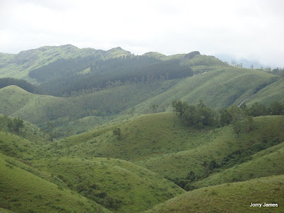 Wagamon Meadows