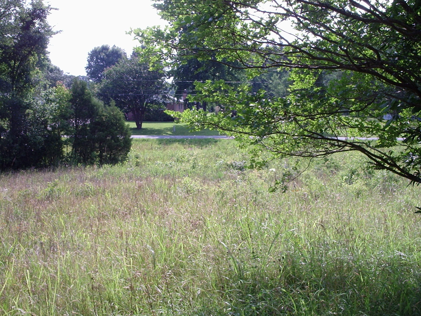 Charlotte Land For Sale