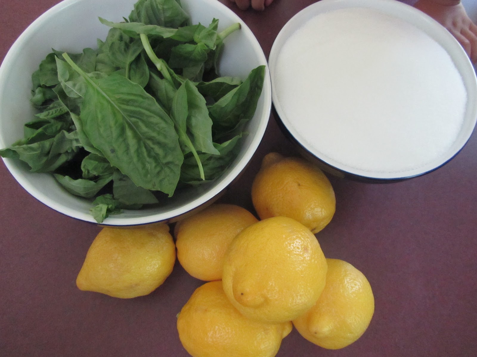 Fields of Basil Lemon Basil Sorbet