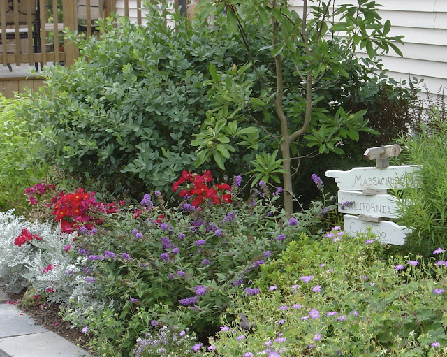 North Facing Garden on Pinterest Shade Garden, Heuchera
