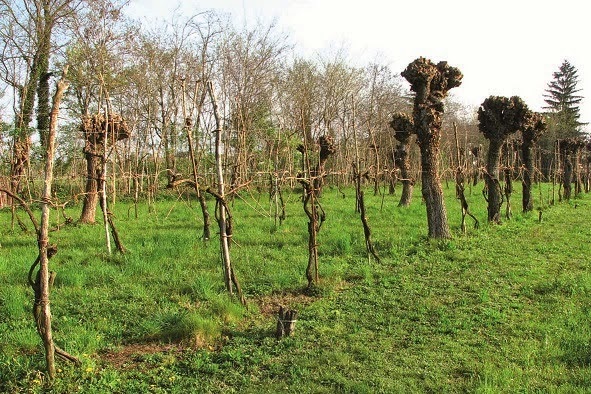 luoghi di incontri