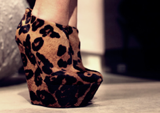 leopard.