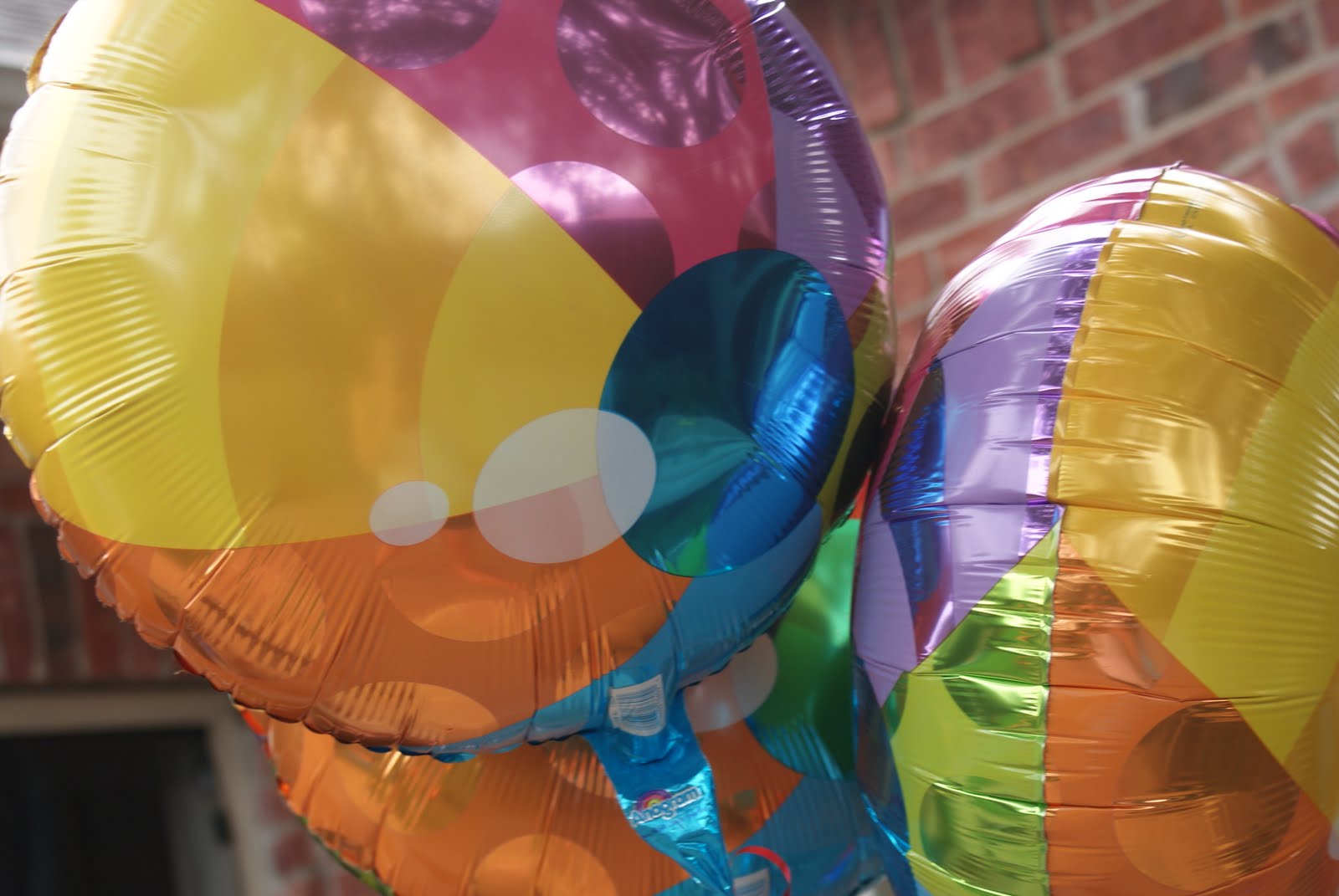 The Dixon Daily Rhett's Beach Ball Party Part 1 The Details and